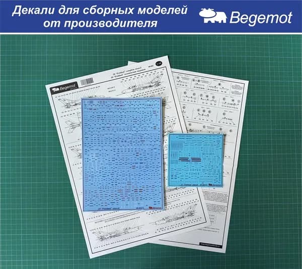 48-003 Деколь (Декаль) для сборной модели "Микоян МиГ-21" технические надписи 1/48 (BEGEMOT)