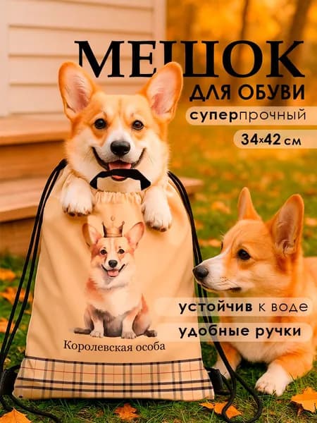 Мешок для сменной обуви в школу МиМиМи "Королевская особа" / сумка для школьной сменки с ручками