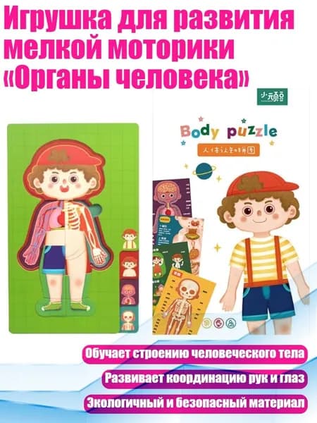 Игрушка для развития мелкой моторики Органы человека , - Мальчик
