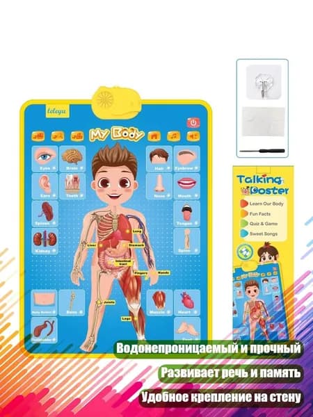 Настенная карта