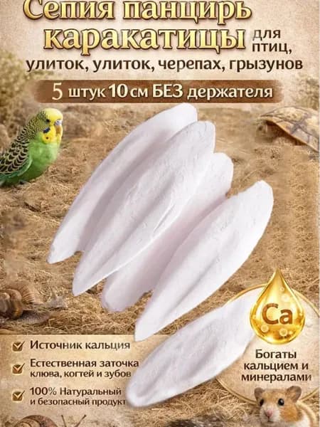 Сепия панцирь каракатицы для птиц, улиток, черепах, грызунов 10 см БЕЗ держателя