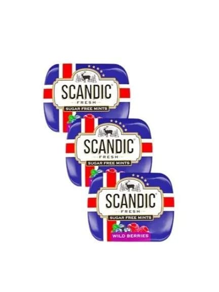 Конфеты Scandic без сахара со вкусом Лесные ягоды, 3шт по 14г