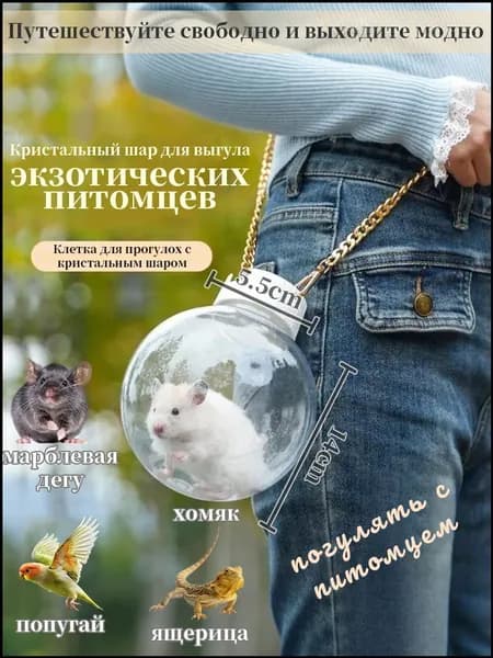 Маленькая клетка для домашних животных, прозрачная клетка