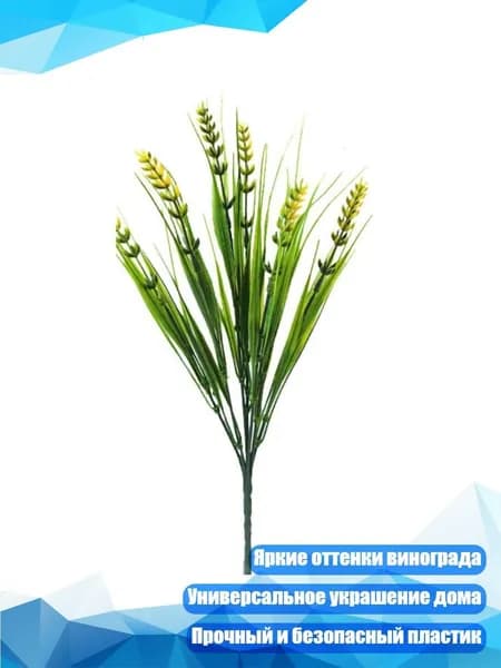 Стабилизированные цветы, 5 см, 50 гр, 1 шт