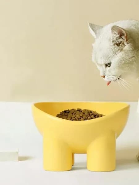 домашняя высокая миска для кошек