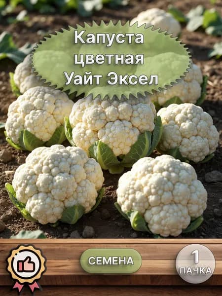 Капуста цветная Уайт Эксел (семена)