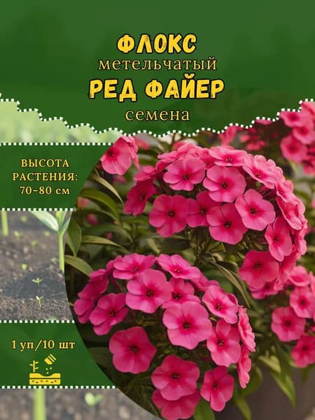 Флокс "Ред Файер" семена, 1 пачка