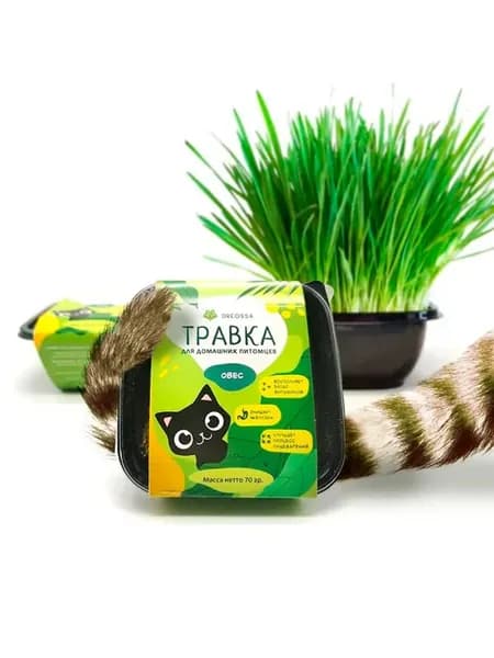 Трава для кошек в лотке