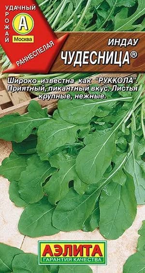 Семена Индау (руккола) Чудесница (0,3г) - Аэлита