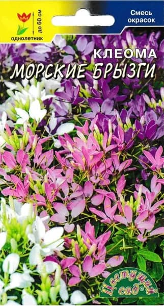 Семена Клеома "Морские брызги смесь"