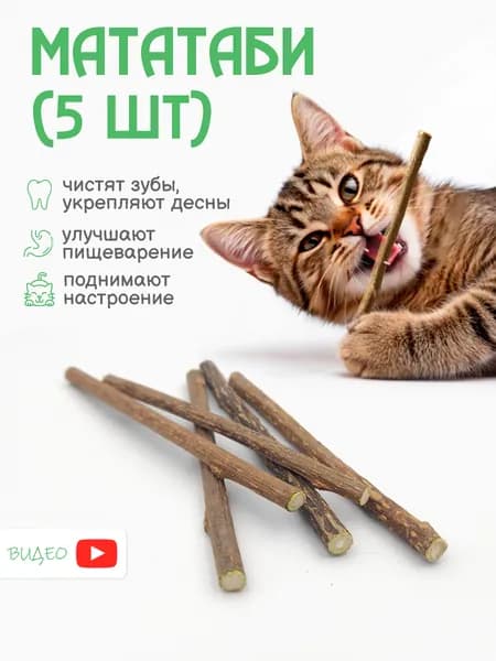Жевательные палочки МАТАТАБИ для чистки зубов, 5 шт