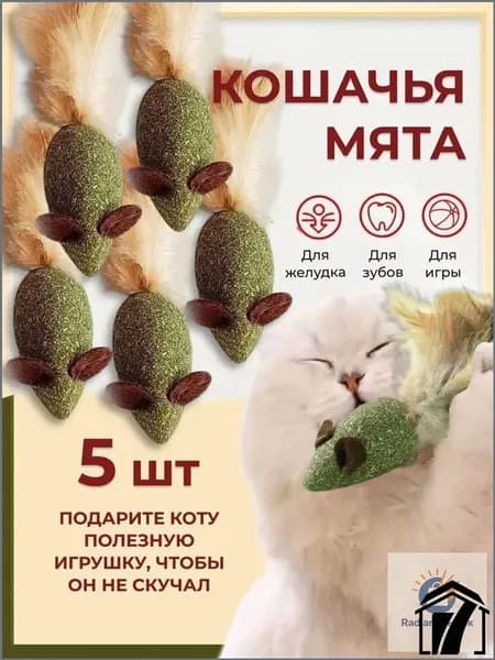 Кошачья мята, шарик мышка