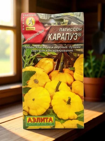 Патиссон Карапуз
