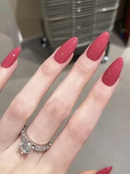 Накладные ногти ( 24 типсы + клей )