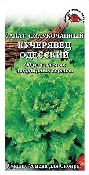 Салат Кучерявец Одесский Сотка 0,5г среднесп. полукочан. 190-200г