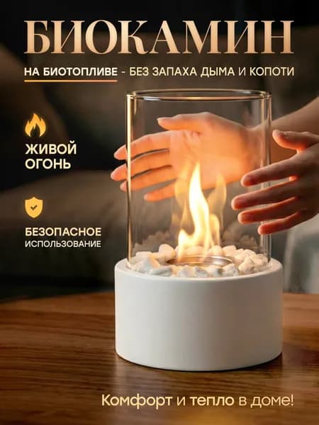 LaRadi Биокамин