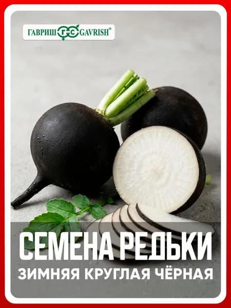 Семена Редька "Зимняя круглая чёрная" 1 г, для дачи, сада и огорода, в открытый грунт, для теплиц и парников