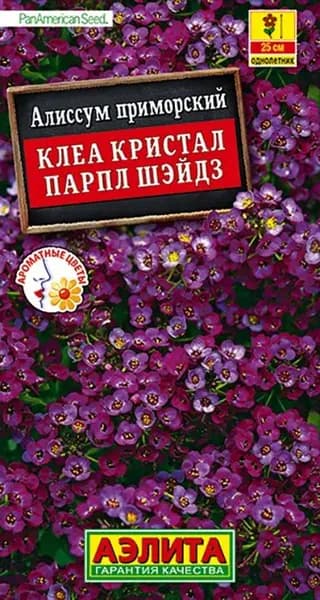 Семена Алиссум приморский Клеа Кристал Парпл Шэйдз (4 семя) - Аэлита