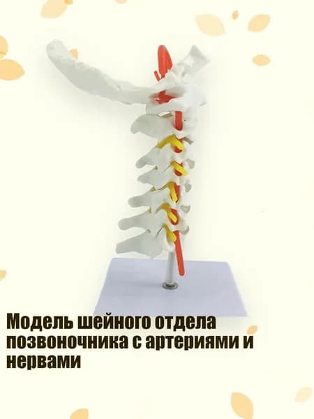 Контрольный браслет