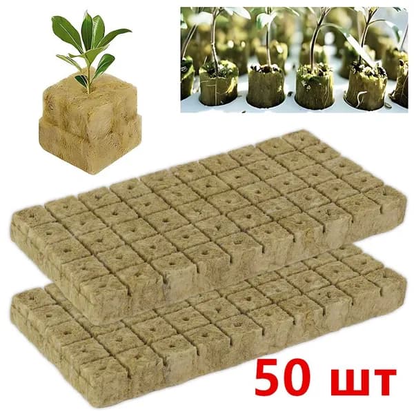 Грунт