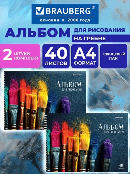 Альбом для рисования в школу А4 40 листов на спирали, набор 2 штуки, обложка глянцевый лак, Brauberg Кисти