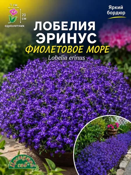 Лобелия Эринус ФИОЛЕТОВОЕ МОРЕ (Семена Цветущий Сад, 0,04 г семян в упаковке)