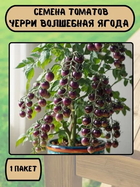 Томат черри Волшебная ягода, семена 10 шт
