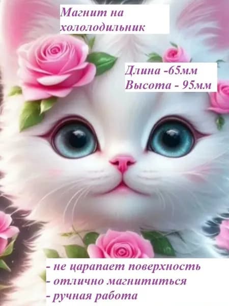 Магнит на холодильник.