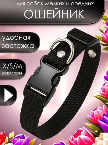 Ошейник для собак мелких и средних пород Petsare, обхват шеи 30 - 50 см, нейлоновый, для кошек, щенка, кота, черный