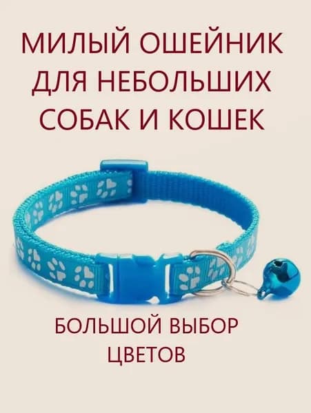 Ошейник