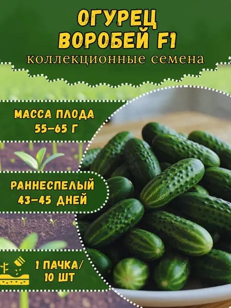 Семена Огурца "Воробей F1", 10 семян