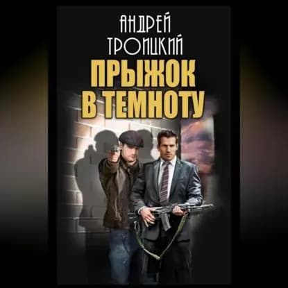 Прыжок в темноту | Троицкий Андрей Борисович | Электронная аудиокнига