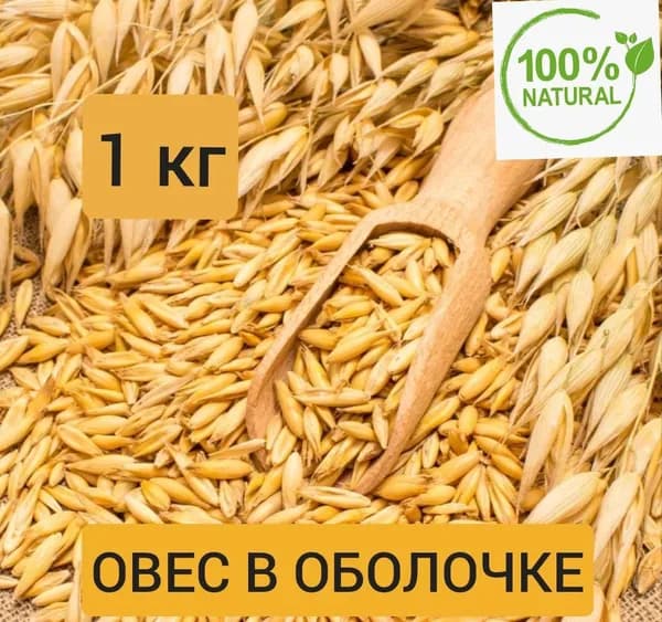 Овёс в оболочке, для птиц и животных, для проращивания, для заваривания, для настоев 1 кг