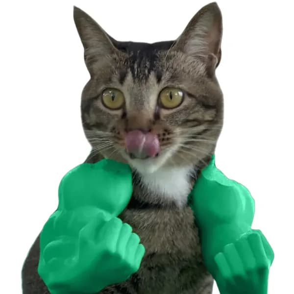 3D-печать кота с мускулистыми руками на шею зелёного цвета