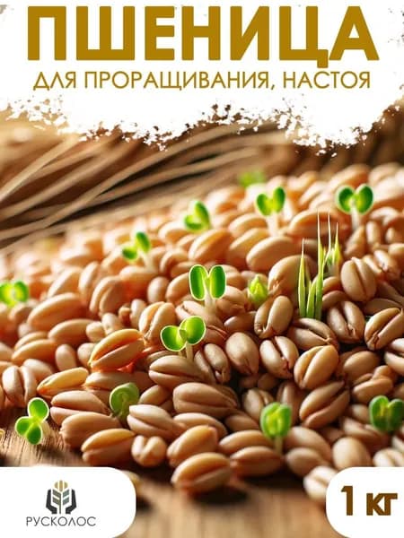Пшеница для проращивания и кормления домашних животных и птиц