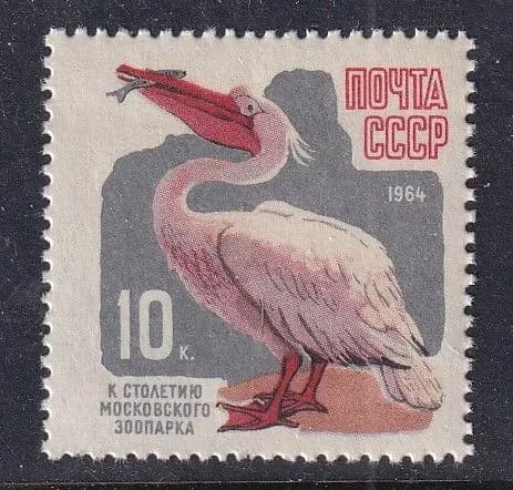 СССР 1964 пеликан