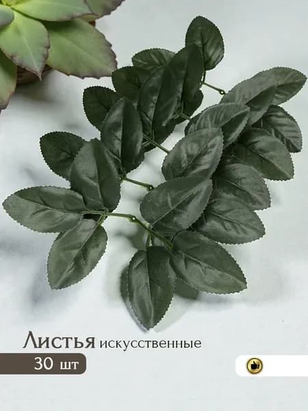 Листья розы для цветов букетов мыльных роз