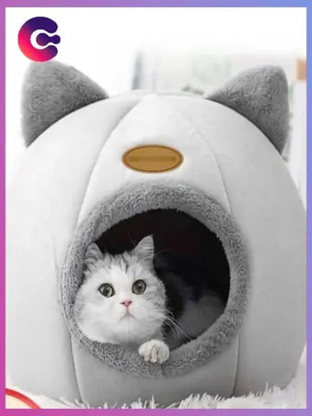 Эксклюзивный дом для питомца