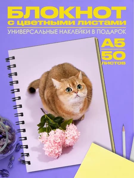 Блокнот А5 Британская кошка