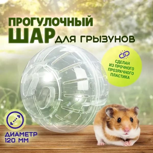 Шар для грызунов, хомяков, мышей, 12 см, прозрачный прогулочный