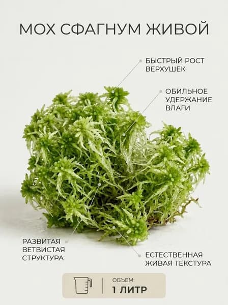 Мох Сфагнум живой 1 литр