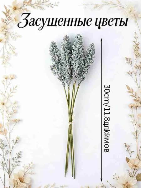 Сухоцветы Плющ, 27 гр