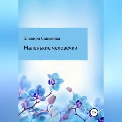 Маленькие человечки | Садыкова Эльвира Альфредовна | Электронная аудиокнига