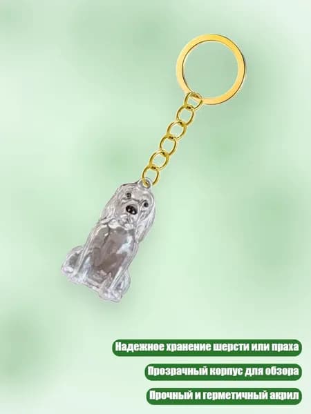 Ключница для хранения шерсти и праха питомца в прозрачном корпусе, - Золотистый ретривер