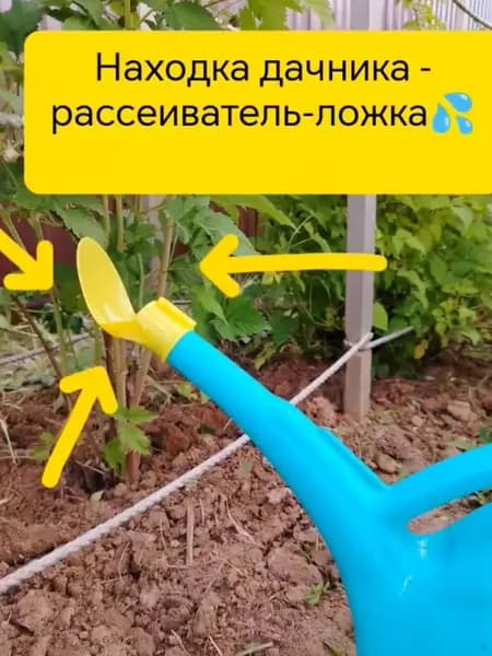 Радиан Рассеиватель для садовой лейки 5,6 л