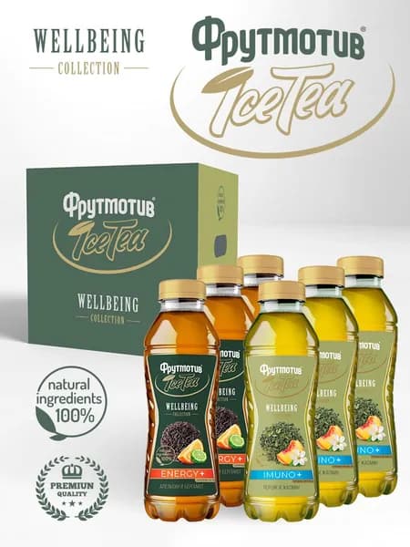Холодный чай Фрутмотив ICE TEA WELLBEING 0,5л*6