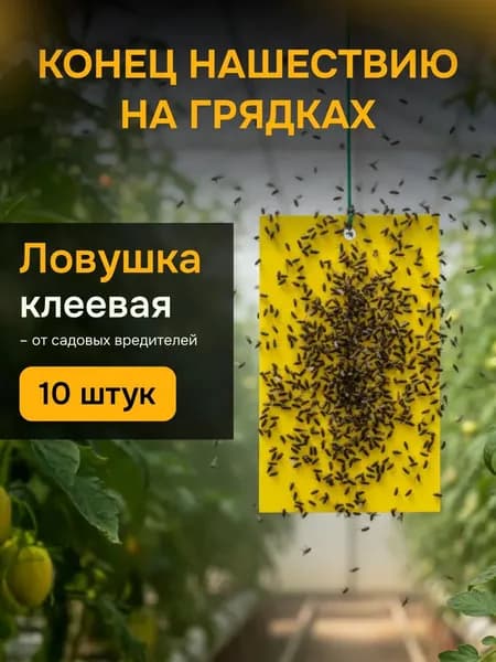 Липкая ловушка для насекомых, липучки от мошек в теплицах и горшках, клеевая пластина,10cm*20cm