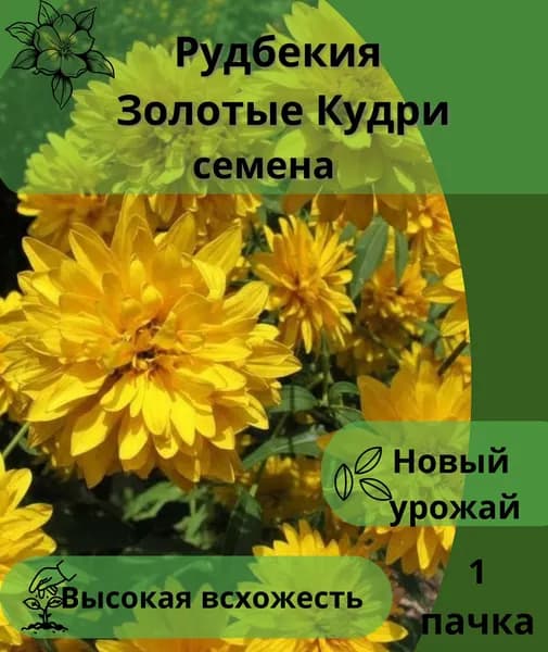 Рудбекия Золотые Кудри, семена 10шт