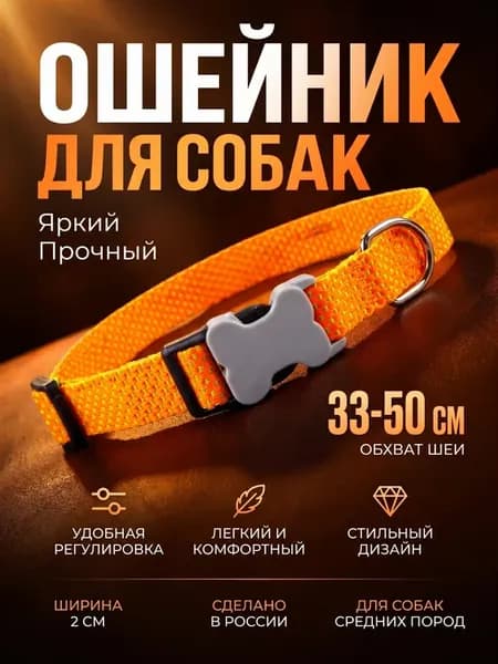 Яркий нейлоновый ошейник для собак, средних пород