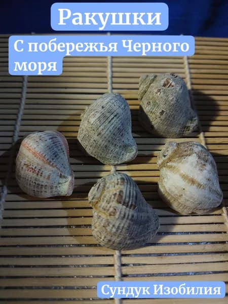Дрифтвуд, Набор морских коряг для аквариума